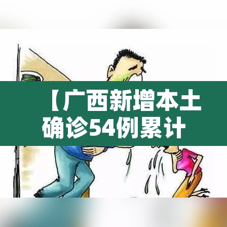 【广西新增本土确诊54例累计180例·广西新增1例情况介绍】