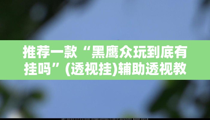 推荐一款“黑鹰众玩到底有挂吗”(透视挂)辅助透视教程