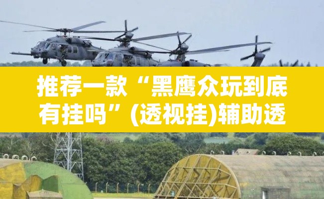 推荐一款“黑鹰众玩到底有挂吗	”(透视挂)辅助透视教程