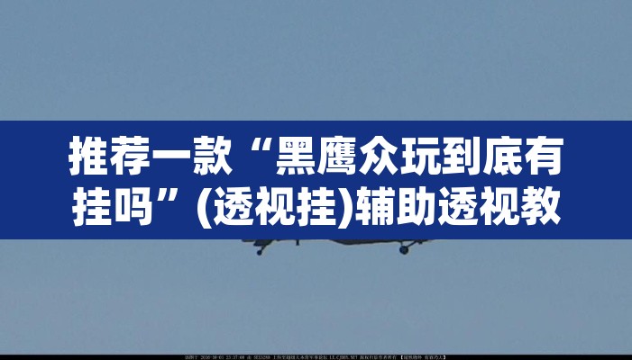 推荐一款“黑鹰众玩到底有挂吗”(透视挂)辅助透视教程
