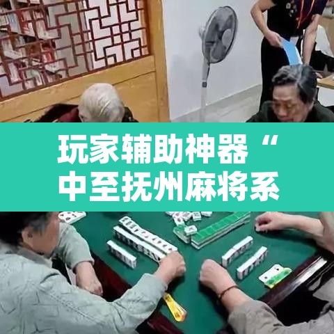 玩家辅助神器“中至抚州麻将系统作弊辅助工具”其实确实有挂