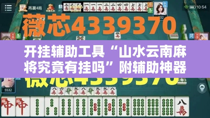 开挂辅助工具“山水云南麻将究竟有挂吗”附辅助神器开挂脚本详细步骤