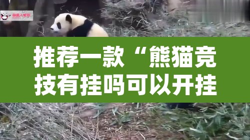 推荐一款“熊猫竞技有挂吗可以开挂吗”(透视)其实确实有挂