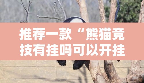 推荐一款“熊猫竞技有挂吗可以开挂吗	”(透视)其实确实有挂