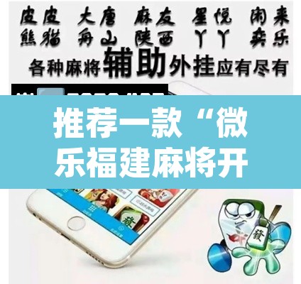 推荐一款“微乐福建麻将开挂下载”(透视挂)辅助透视教程
