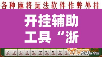 开挂辅助工具“浙衢麻将开挂器	”(透视挂)辅助透视教程