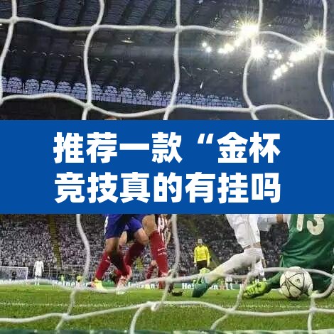 推荐一款“金杯竞技真的有挂吗”(透视挂)辅助透视教程