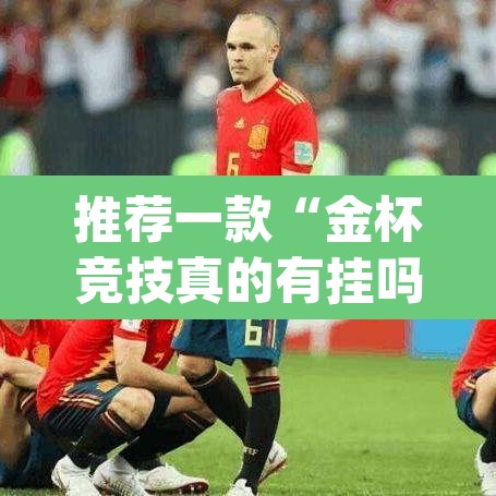 推荐一款“金杯竞技真的有挂吗”(透视挂)辅助透视教程