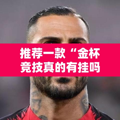 推荐一款“金杯竞技真的有挂吗”(透视挂)辅助透视教程