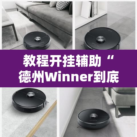 教程开挂辅助“德州Winner到底有挂吗”(透视)其实确实有挂