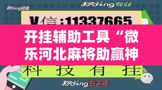 开挂辅助工具“微乐河北麻将助赢神器购买”(透视挂)辅助透视教程