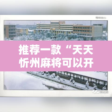 推荐一款“天天忻州麻将可以开挂吗”(透视挂)辅助透视教程