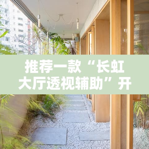 推荐一款“长虹大厅透视辅助”开挂辅助脚本+详细开挂安装教程
