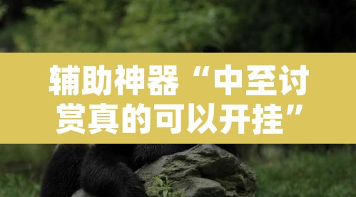 辅助神器“中至讨赏真的可以开挂	”附辅助神器开挂脚本详细步骤