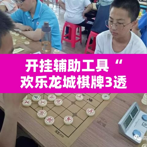 开挂辅助工具“欢乐龙城棋牌3透视挂”其实确实有挂