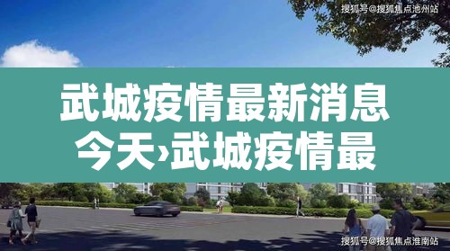 武城疫情最新消息今天›武城疫情最新消息今天封城了 武城疫情最新消息今天›武城疫情最新消息今天封城了