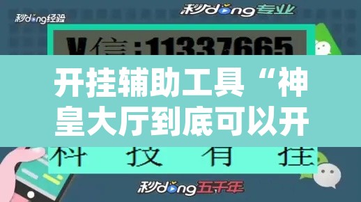 开挂辅助工具“神皇大厅到底可以开挂吗	”(透视挂)辅助透视教程