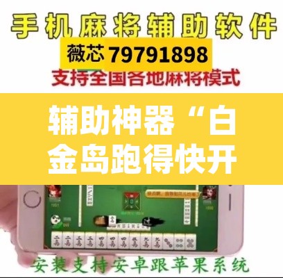 辅助神器“白金岛跑得快开挂神器	”(透视挂)辅助透视教程