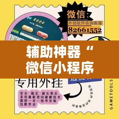 辅助神器“微信小程序家乡大贰开挂器”其实确实有挂