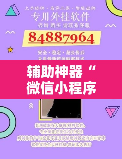 辅助神器“微信小程序家乡大贰开挂器”其实确实有挂