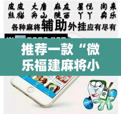 推荐一款“微乐福建麻将小程序挂”(透视挂)辅助透视教程