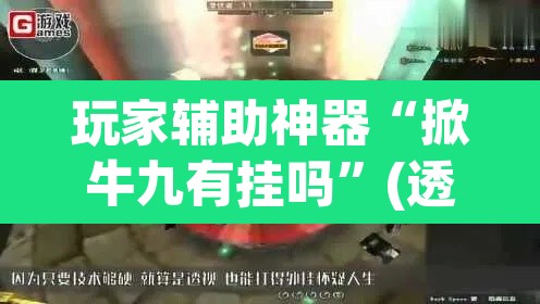 玩家辅助神器“掀牛九有挂吗”(透视)其实确实有挂