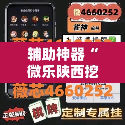 辅助神器“微乐陕西挖坑可以开挂吗”(透视挂)辅助透视教程