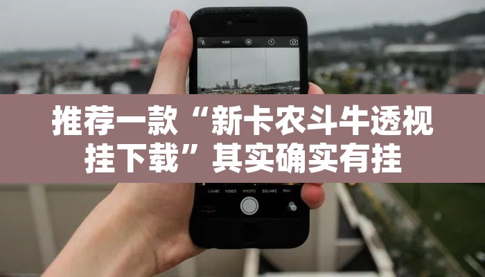 推荐一款“新卡农斗牛透视挂下载	”其实确实有挂