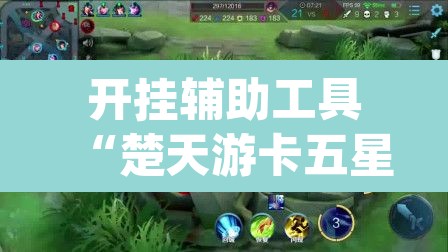 开挂辅助工具“楚天游卡五星辅助器	”(透视)其实确实有挂