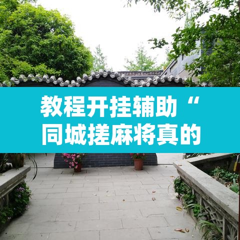 教程开挂辅助“同城搓麻将真的有挂	”(透视)其实确实有挂