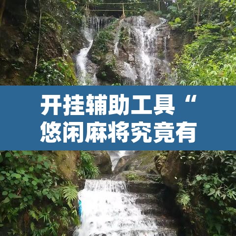 开挂辅助工具“悠闲麻将究竟有没有挂”(透视)其实确实有挂