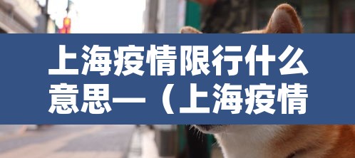 上海疫情限行什么意思—(上海疫情限行最新通知) 上海疫情限行什么意思—(上海疫情限行最新通知)
