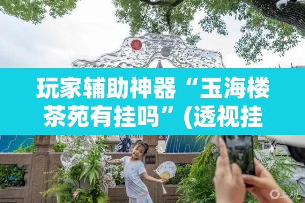 玩家辅助神器“玉海楼茶苑有挂吗”(透视挂)辅助透视教程