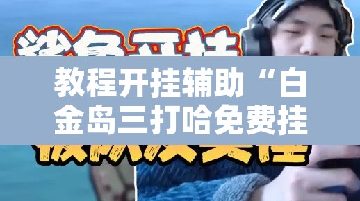 教程开挂辅助“白金岛三打哈免费挂”其实确实有挂
