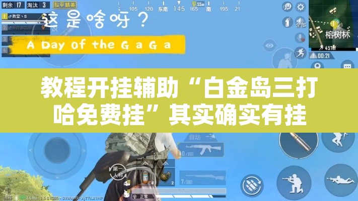 教程开挂辅助“白金岛三打哈免费挂”其实确实有挂