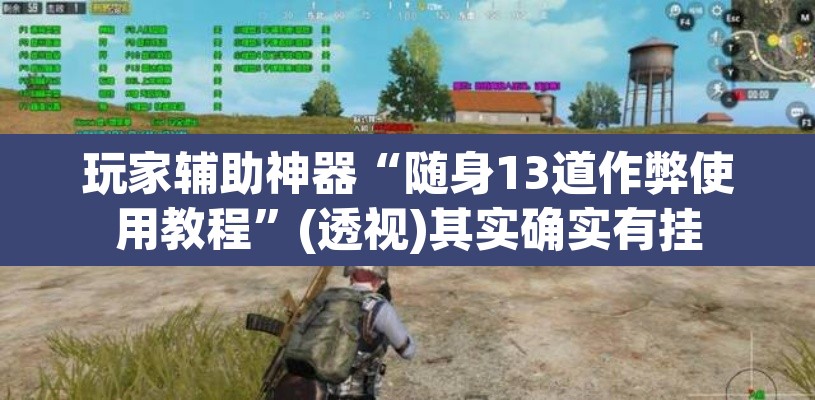 玩家辅助神器“随身13道作弊使用教程”(透视)其实确实有挂