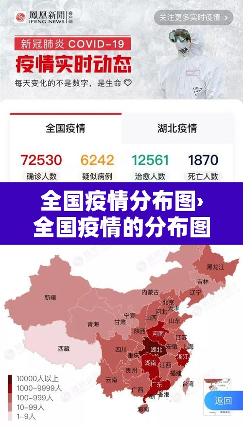全国疫情分布图›全国疫情的分布图