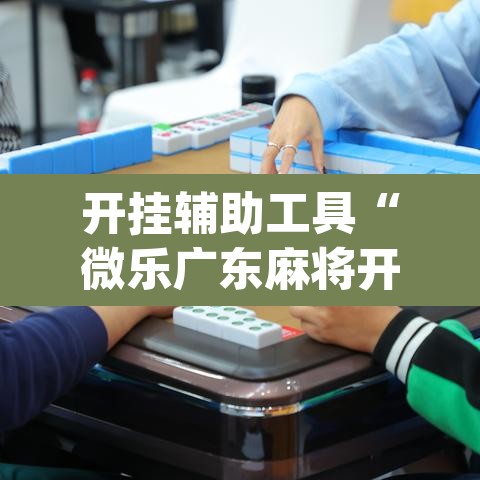开挂辅助工具“微乐广东麻将开挂免费软件”(透视挂)辅助透视教程