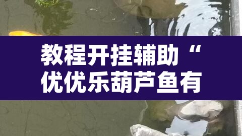 教程开挂辅助“优优乐葫芦鱼有挂吗	”其实确实有挂