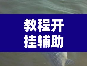 教程开挂辅助“优优乐葫芦鱼有挂吗”其实确实有挂