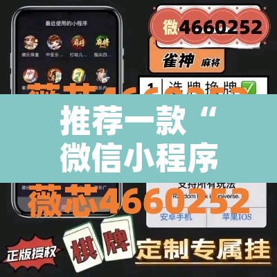 推荐一款“微信小程序家乡大贰辅助器”其实确实有挂
