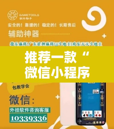 推荐一款“微信小程序家乡大贰辅助器	”其实确实有挂