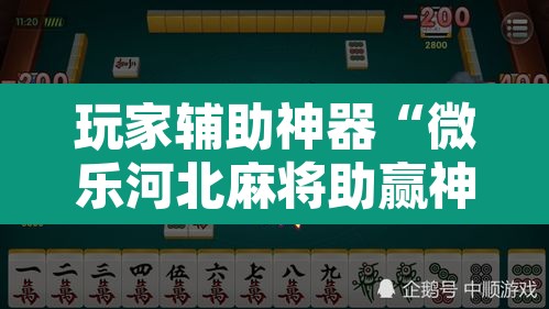 玩家辅助神器“微乐河北麻将助赢神器购买	”附辅助神器开挂脚本详细步骤