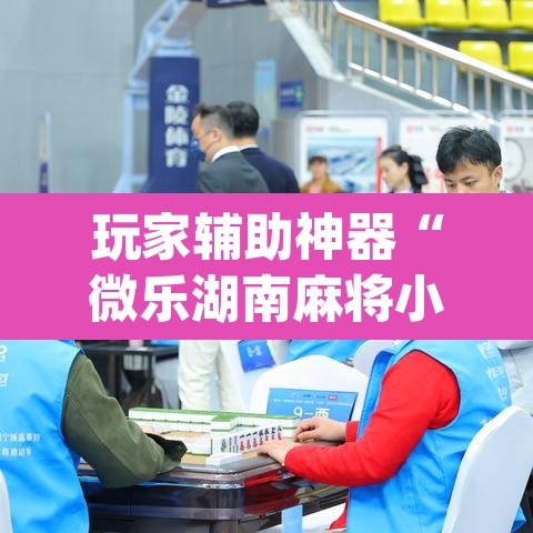 玩家辅助神器“微乐湖南麻将小程序必赢神器免费”(透视挂)辅助透视教程