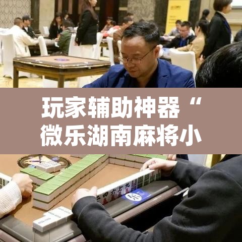 玩家辅助神器“微乐湖南麻将小程序必赢神器免费”(透视挂)辅助透视教程