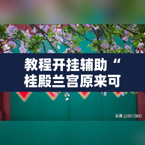 教程开挂辅助“桂殿兰宫原来可以开挂”附辅助神器开挂脚本详细步骤