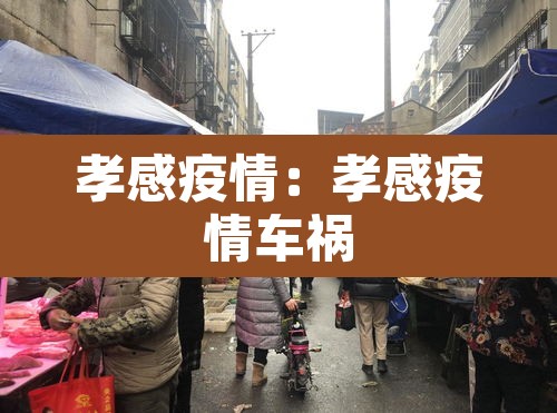 孝感疫情:孝感疫情车祸 孝感疫情:孝感疫情车祸