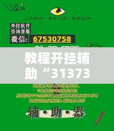 教程开挂辅助“31373游戏有没有挂”开挂辅助脚本+详细开挂安装教程