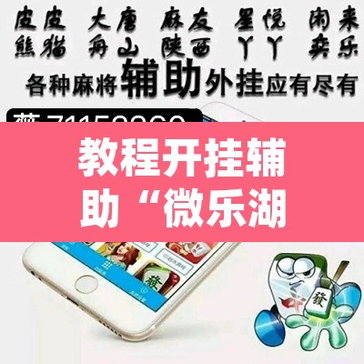 教程开挂辅助“微乐湖北麻将怎么提高胜率”(透视挂)辅助透视教程