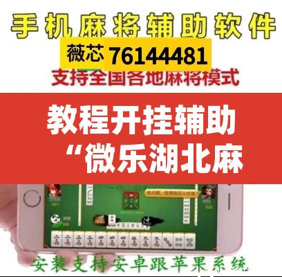 教程开挂辅助“微乐湖北麻将怎么提高胜率”(透视挂)辅助透视教程